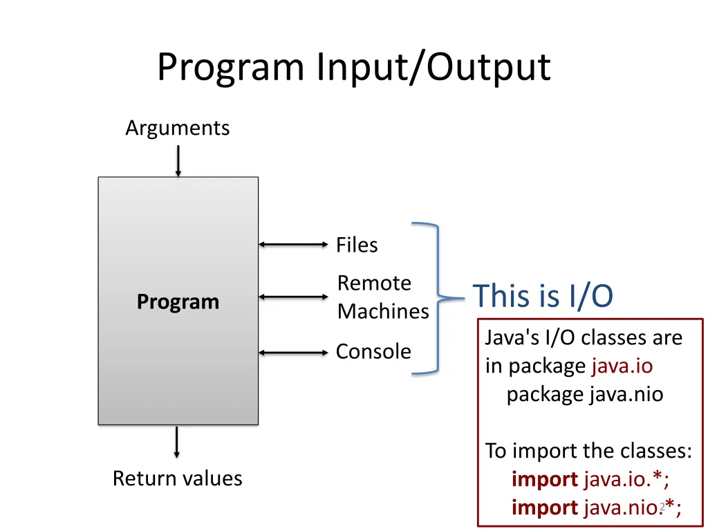program input output