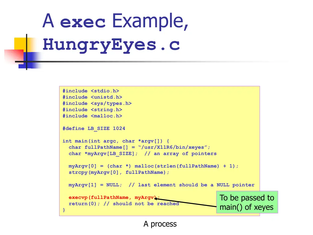 a exec example hungryeyes c 7
