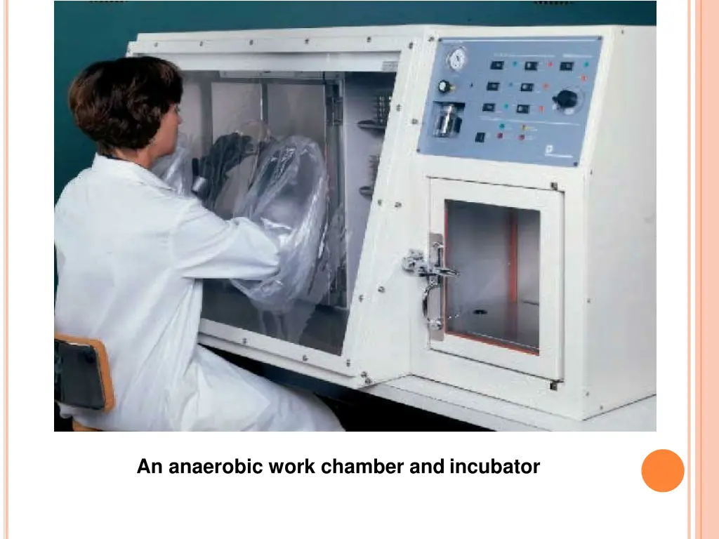 an anaerobic work chamber and incubator