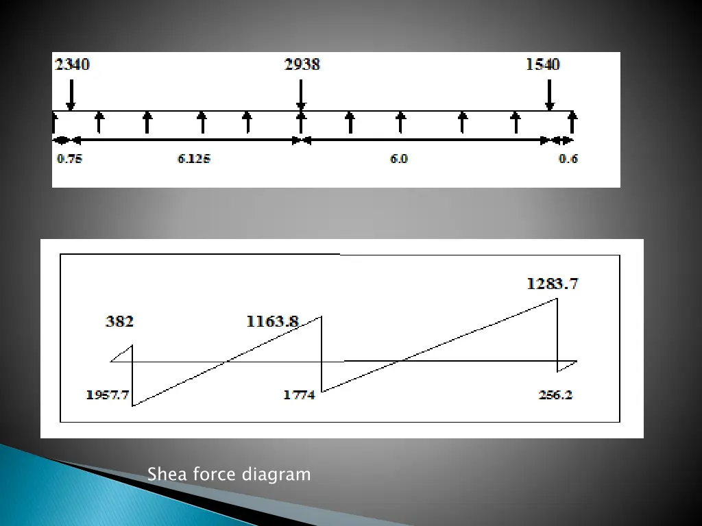 shea force diagram