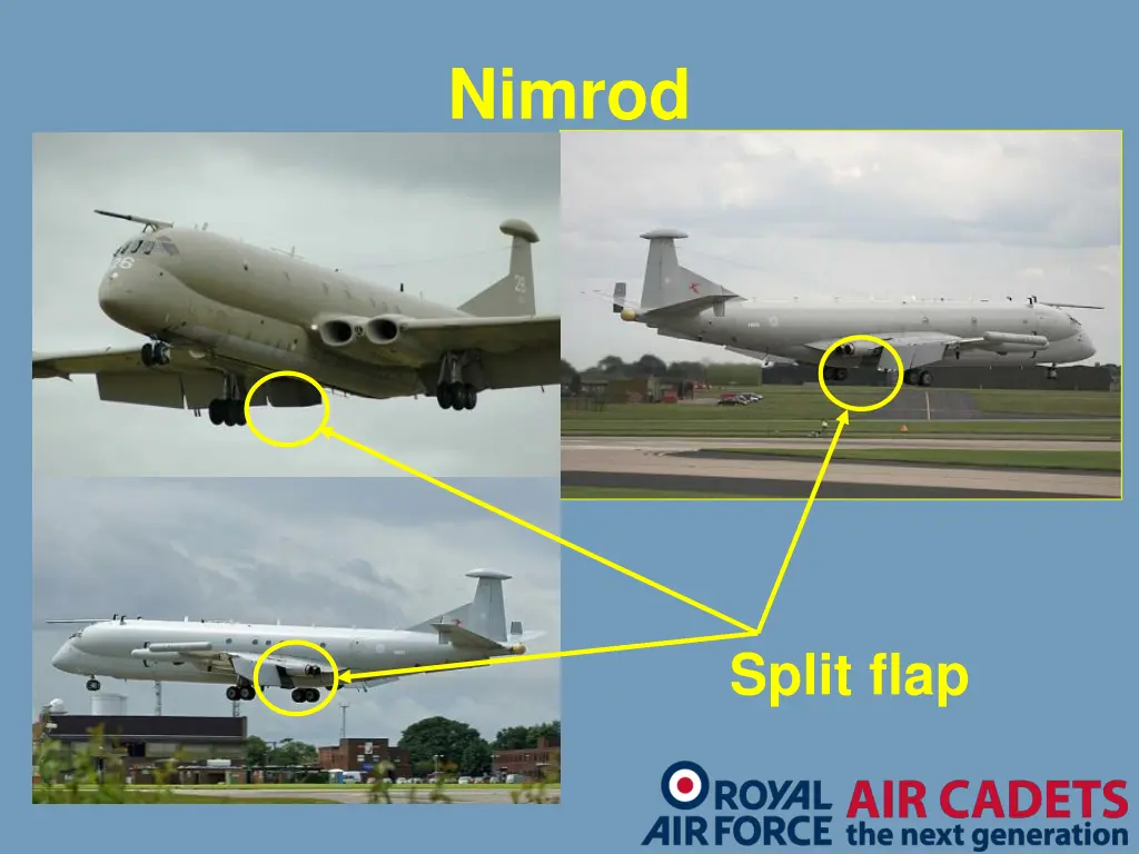 nimrod