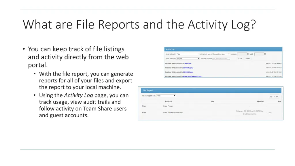 what are file reports and the activity log