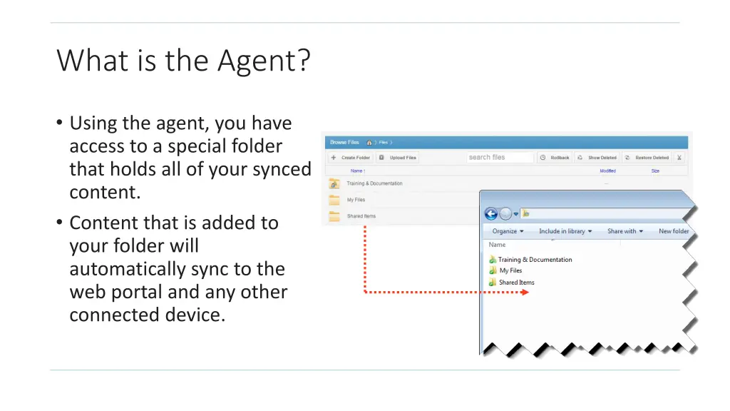 what is the agent