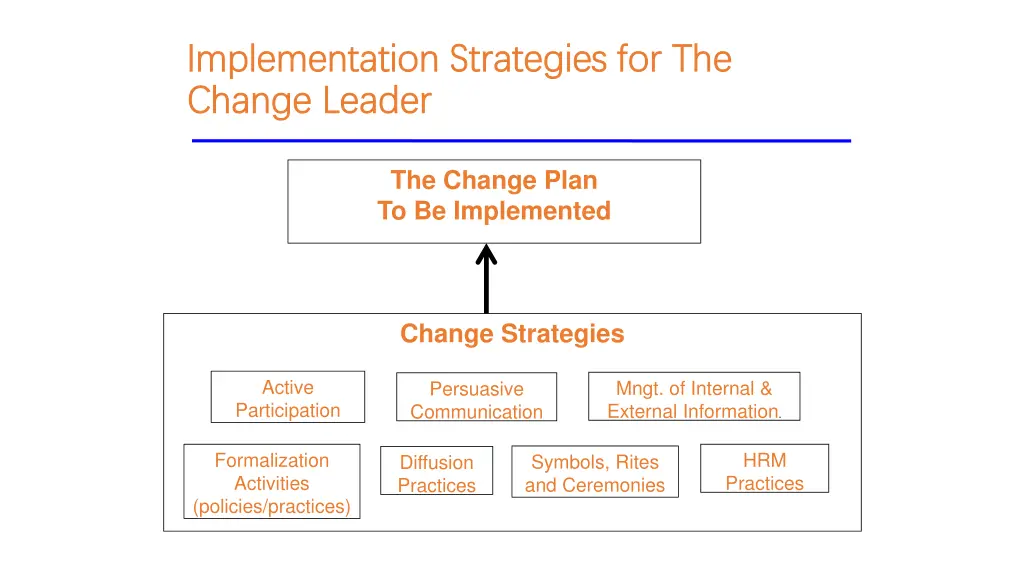 implementation strategies for the implementation