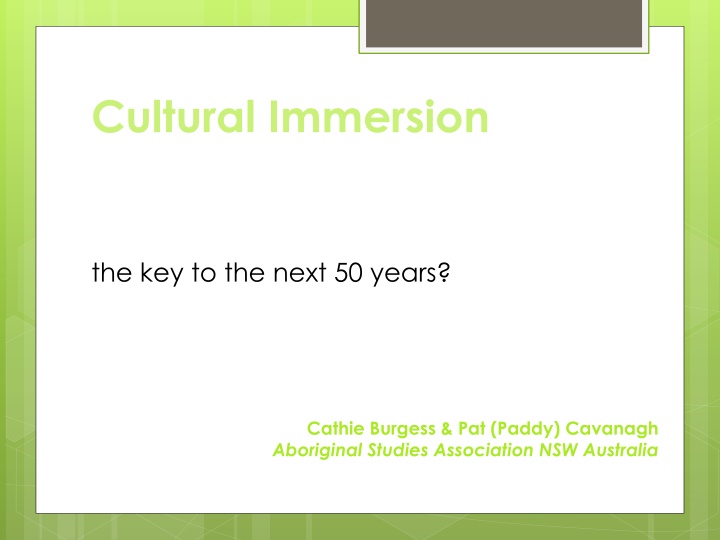 cultural immersion