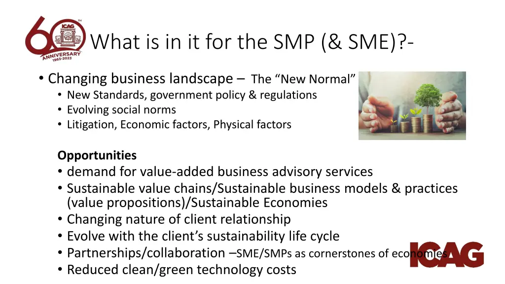 what is in it for the smp sme