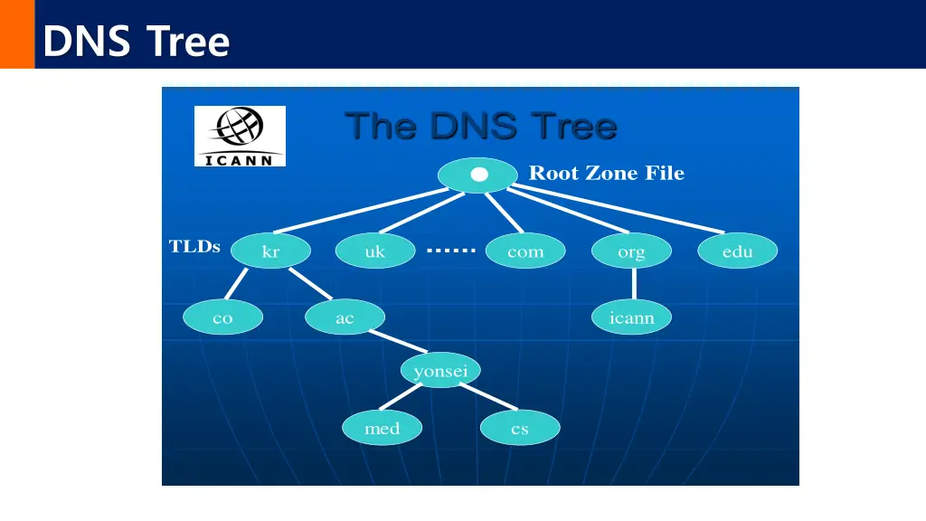 dns tree