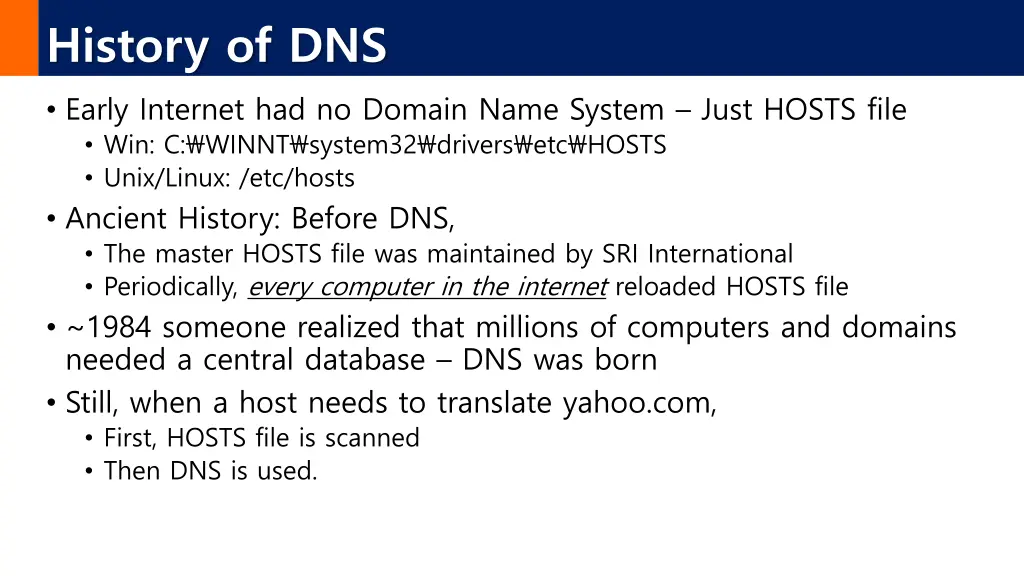history of dns early internet had no domain name