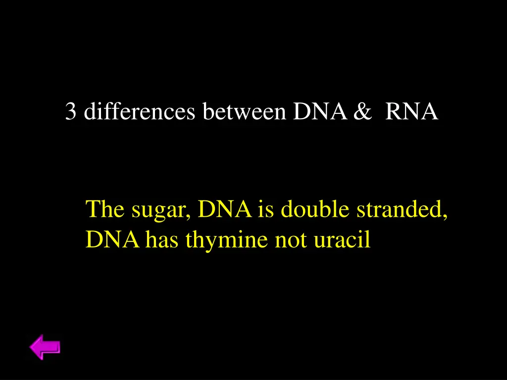 3 differences between dna rna