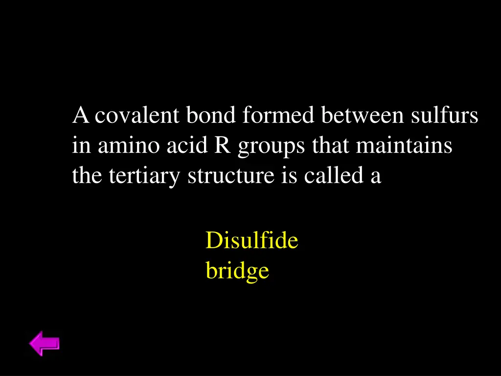 a covalent bond formed between sulfurs in amino