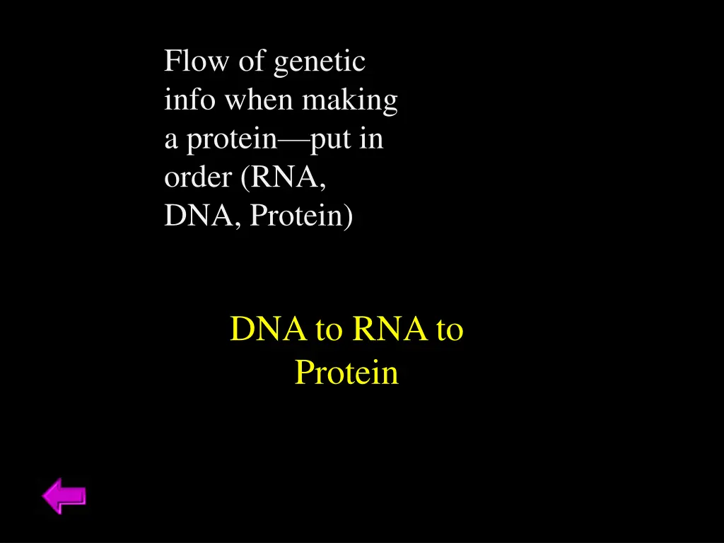 flow of genetic info when making a protein