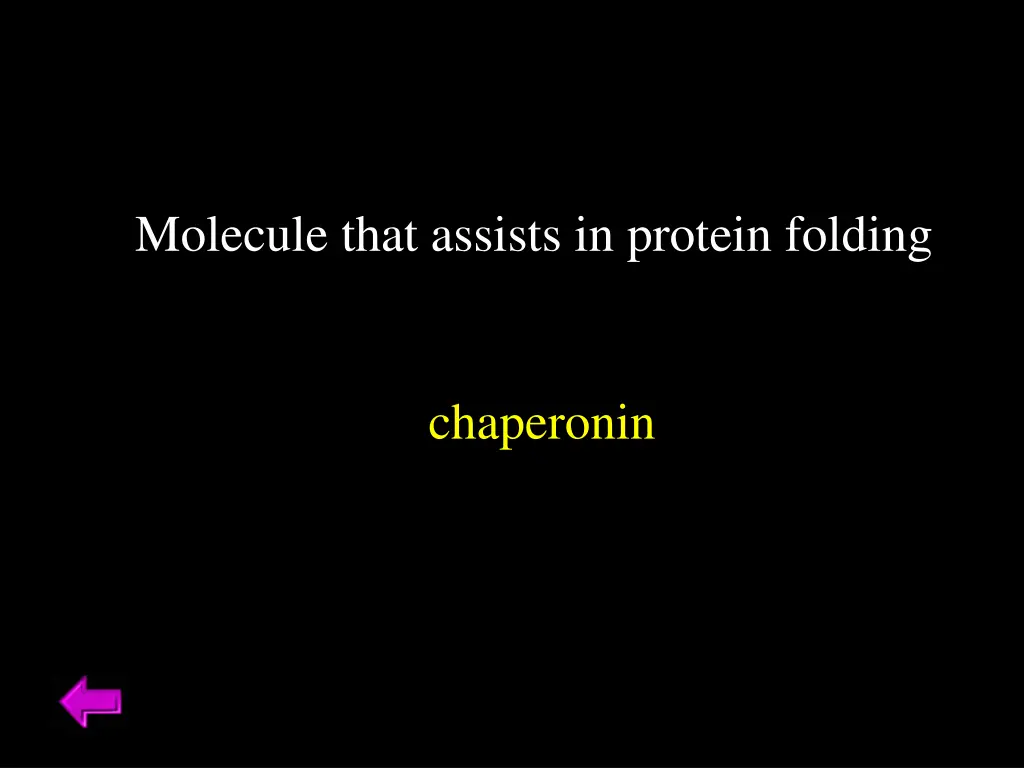 molecule that assists in protein folding