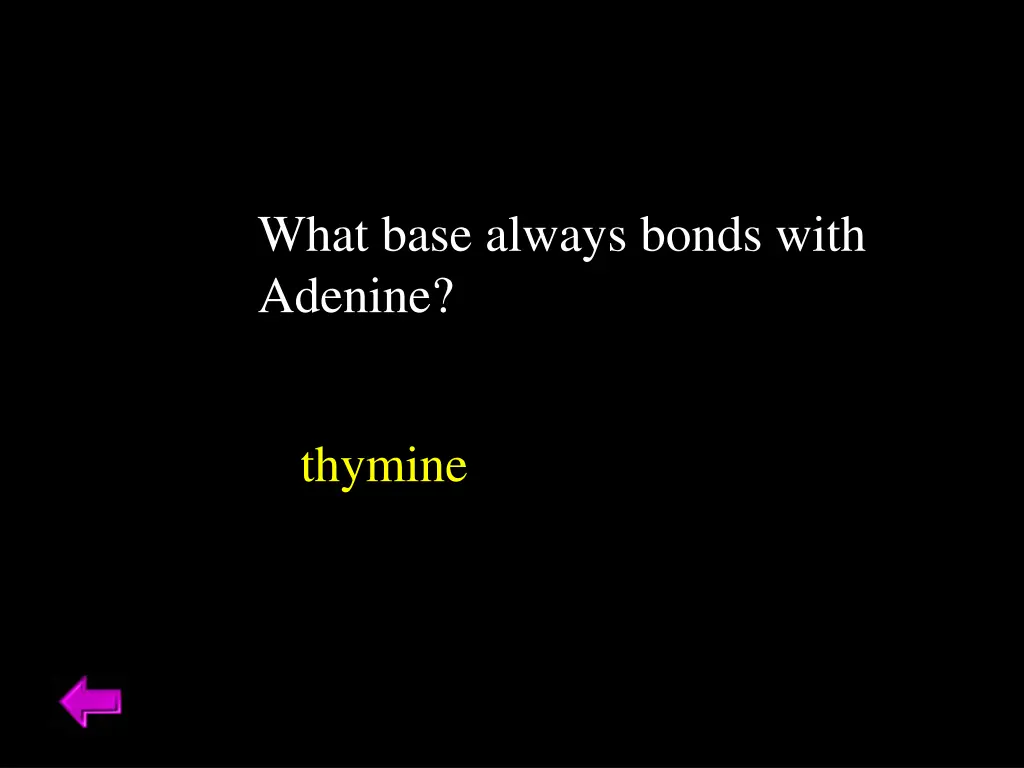 what base always bonds with adenine