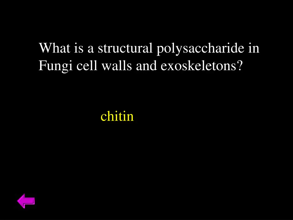 what is a structural polysaccharide in fungi cell