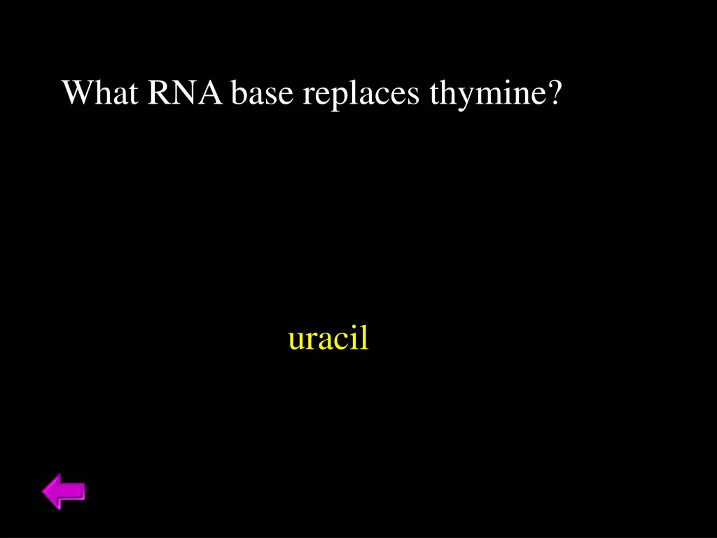 what rna base replaces thymine