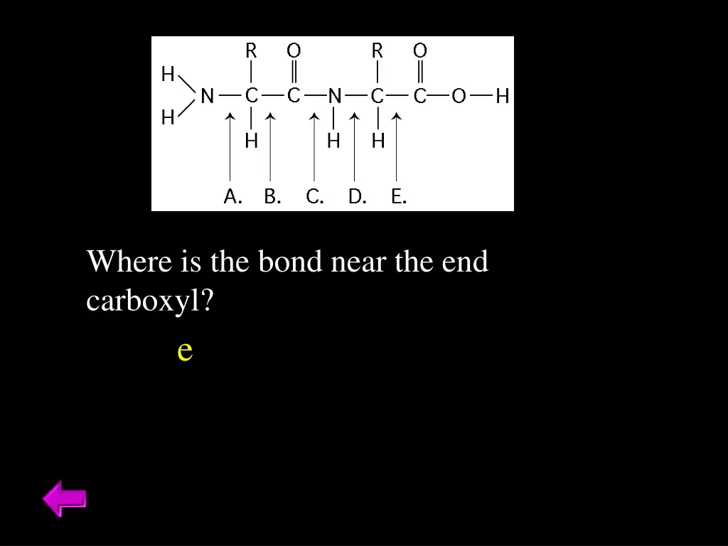 where is the bond near the end carboxyl
