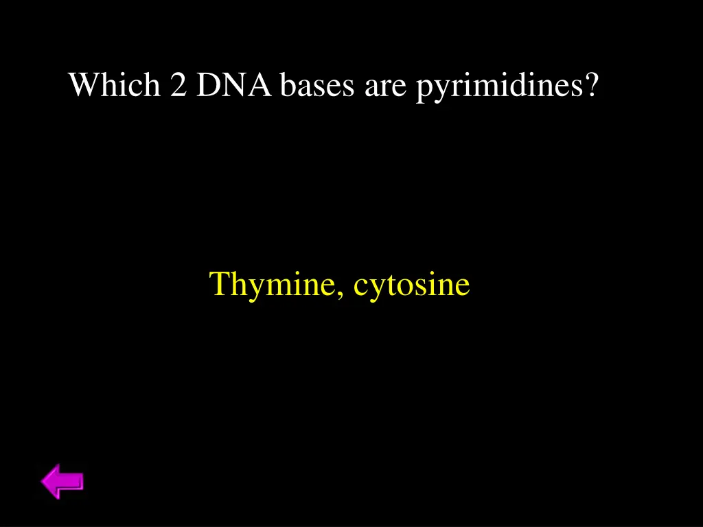 which 2 dna bases are pyrimidines
