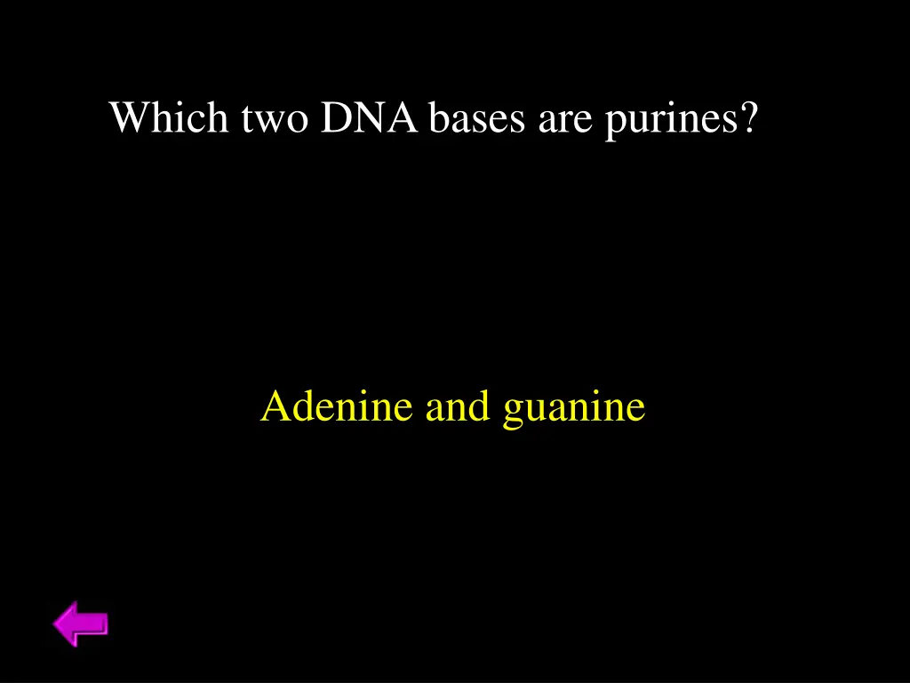 which two dna bases are purines