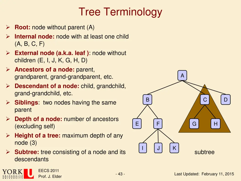 tree terminology