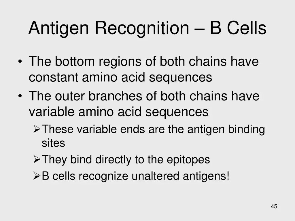 antigen recognition b cells 1