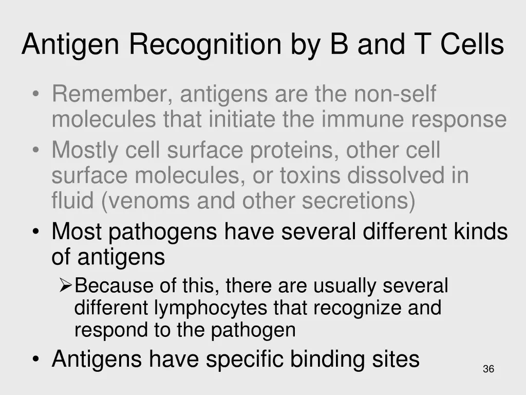 antigen recognition by b and t cells 1