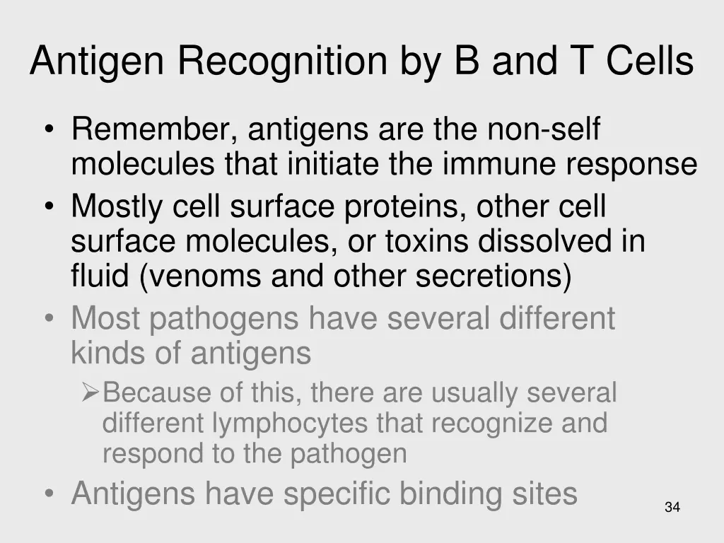 antigen recognition by b and t cells