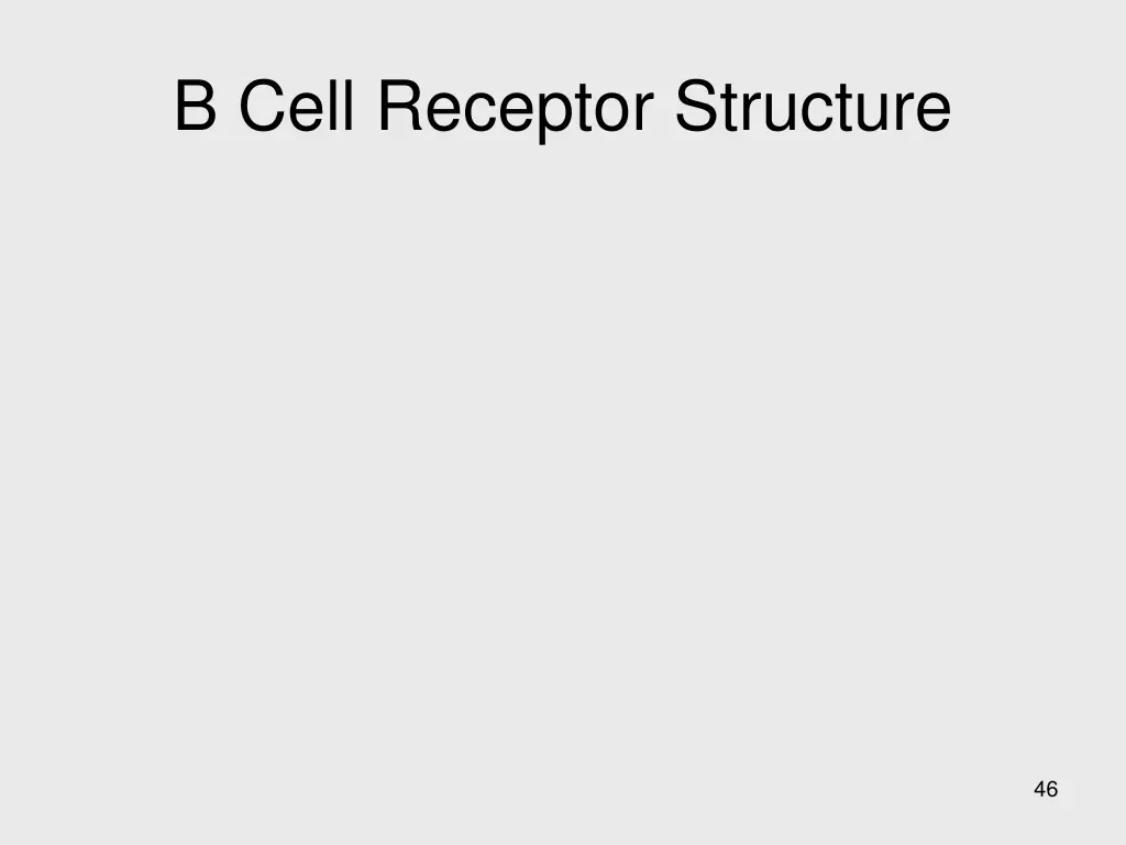 b cell receptor structure 1
