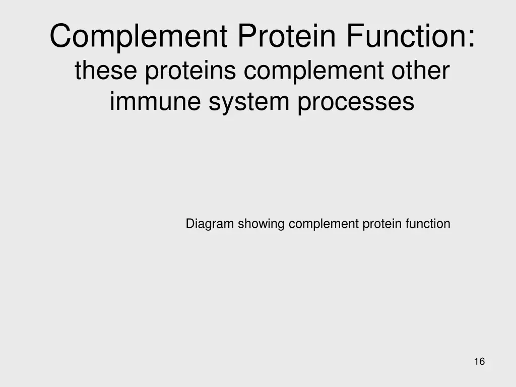 complement protein function these proteins