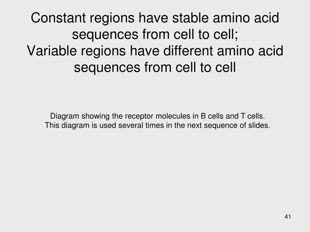 constant regions have stable amino acid sequences