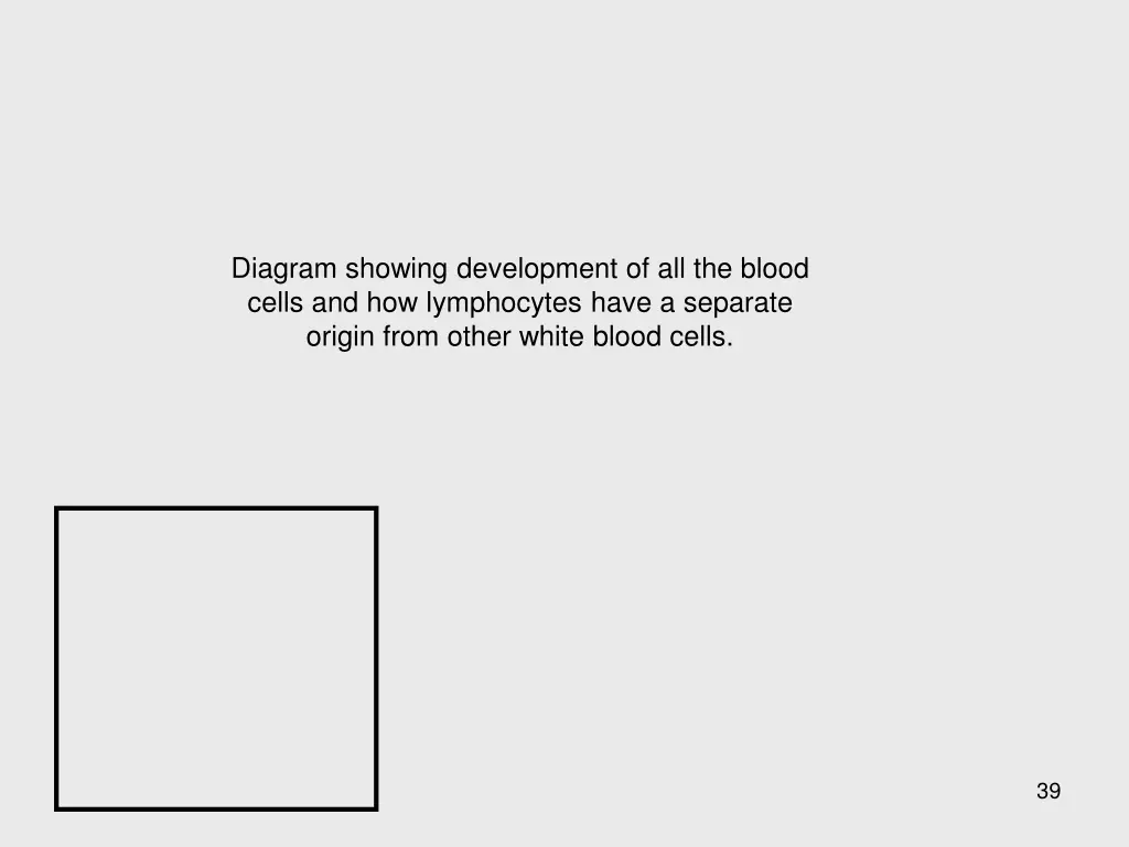 diagram showing development of all the blood