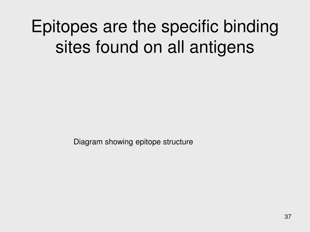 epitopes are the specific binding sites found