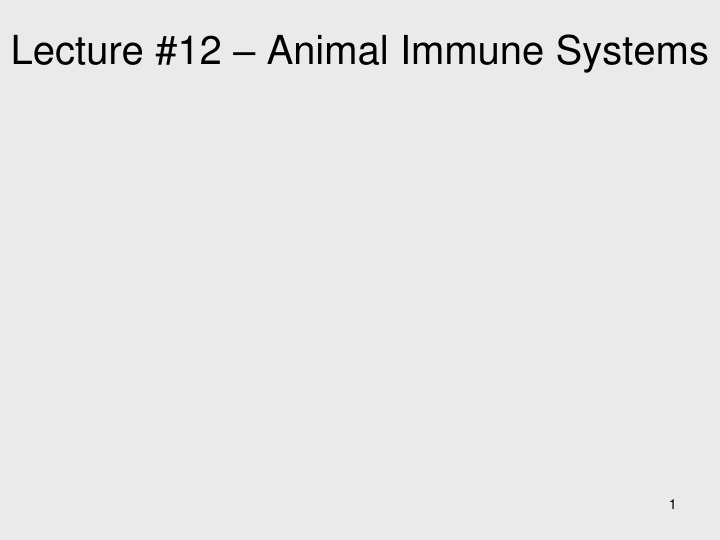 lecture 12 animal immune systems