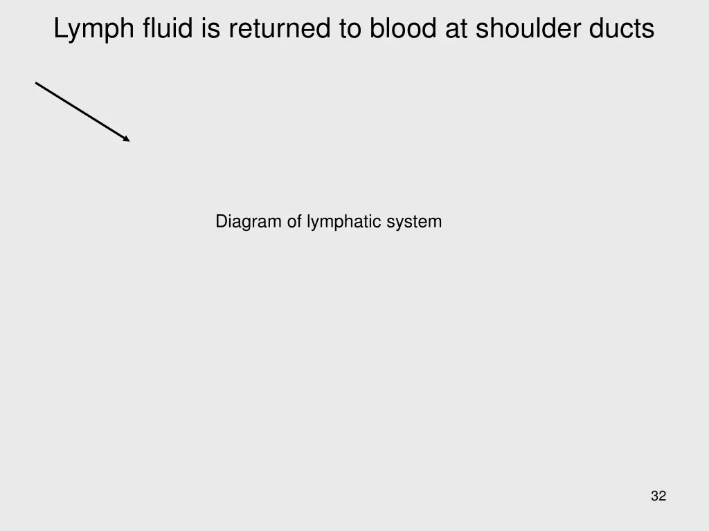 lymph fluid is returned to blood at shoulder ducts