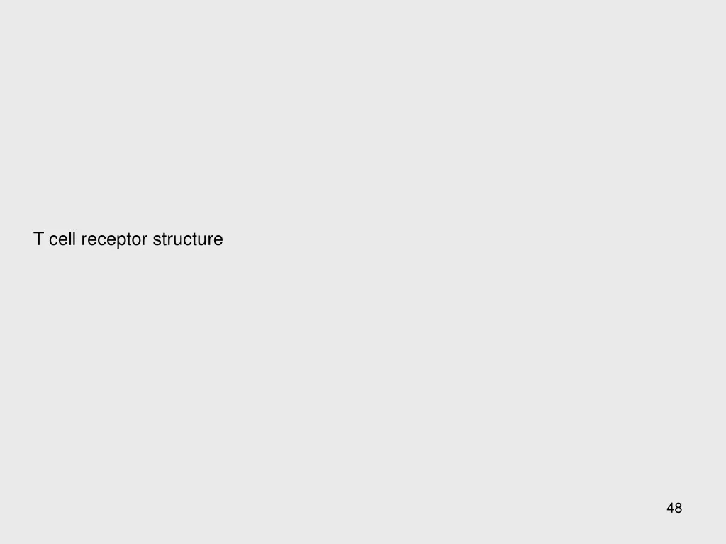 t cell receptor structure