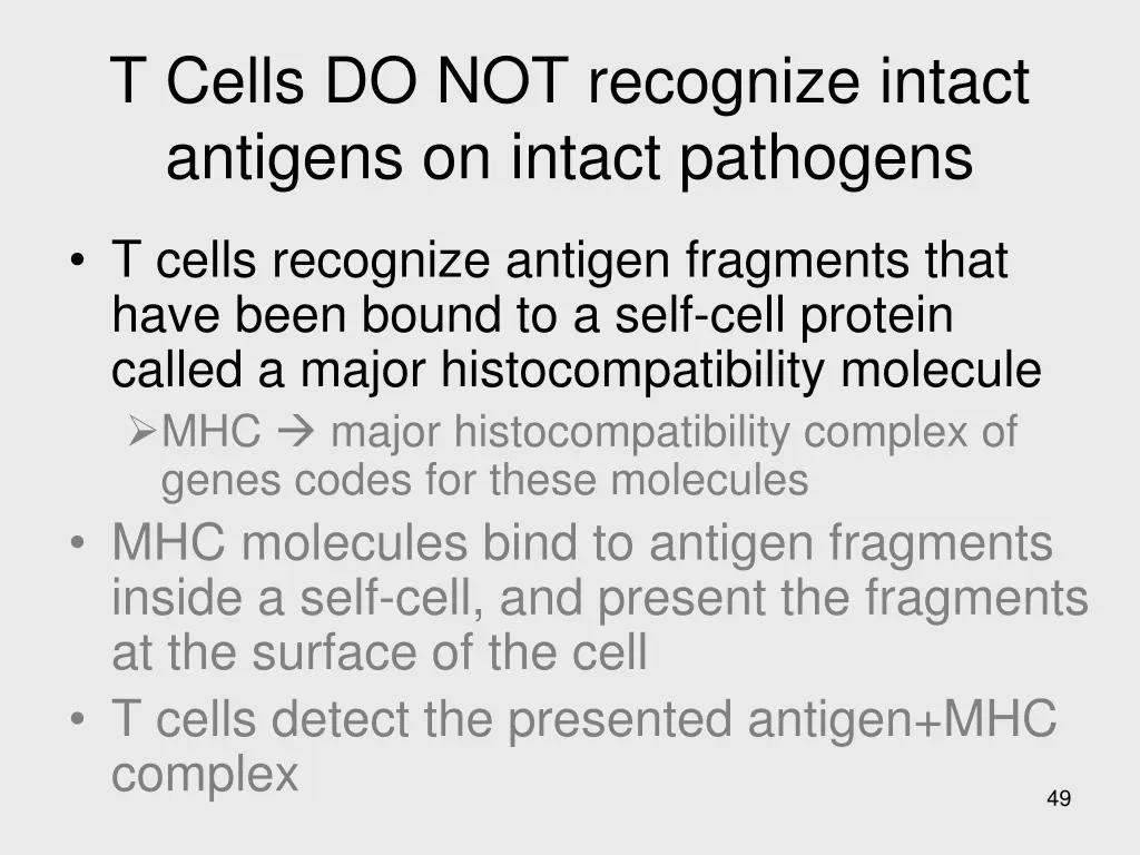 t cells do not recognize intact antigens
