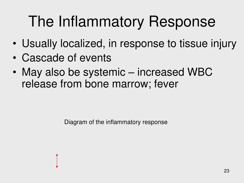 the inflammatory response