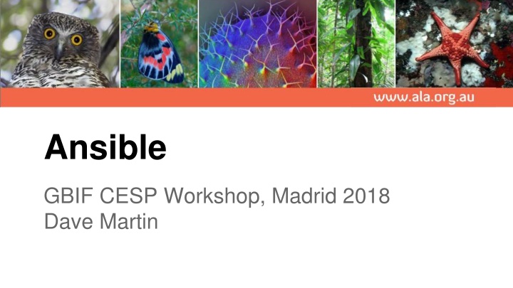 ansible