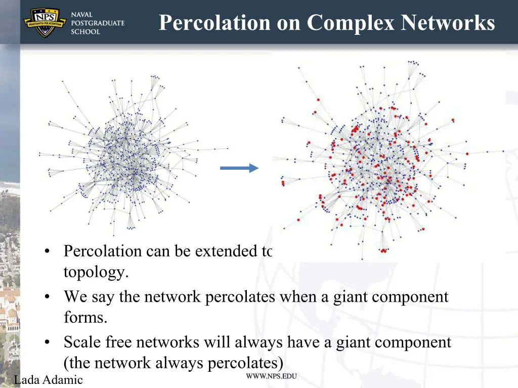 percolation on complex networks
