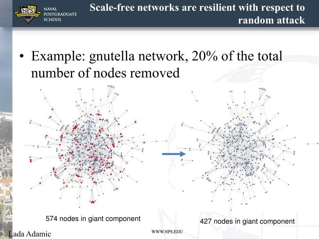 scale free networks are resilient with respect to