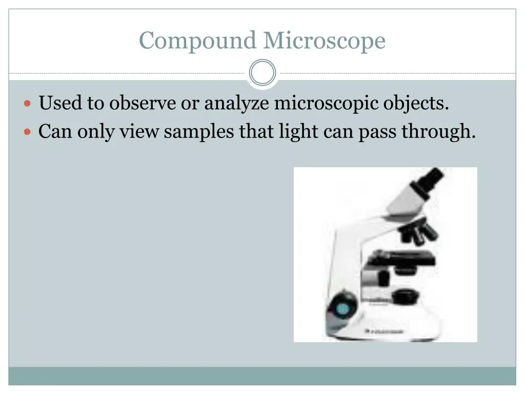 compound microscope