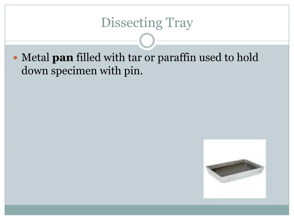 dissecting tray