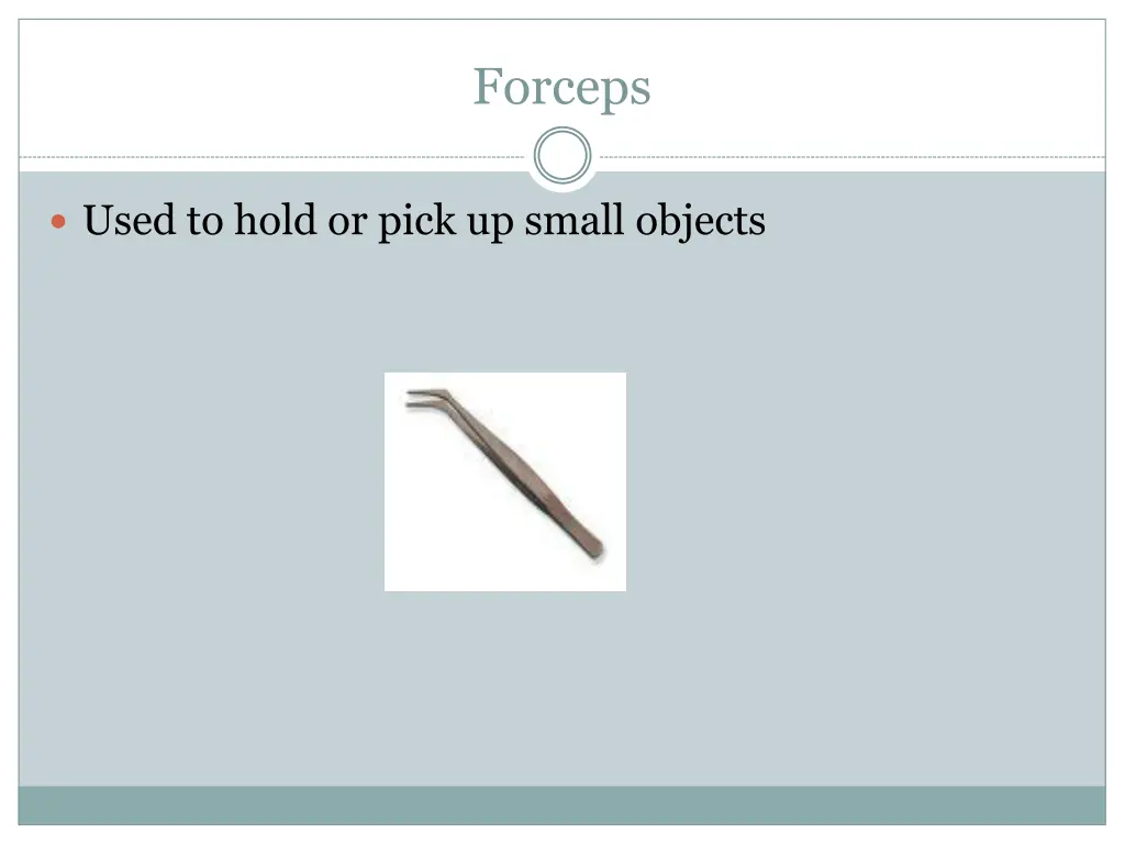 forceps