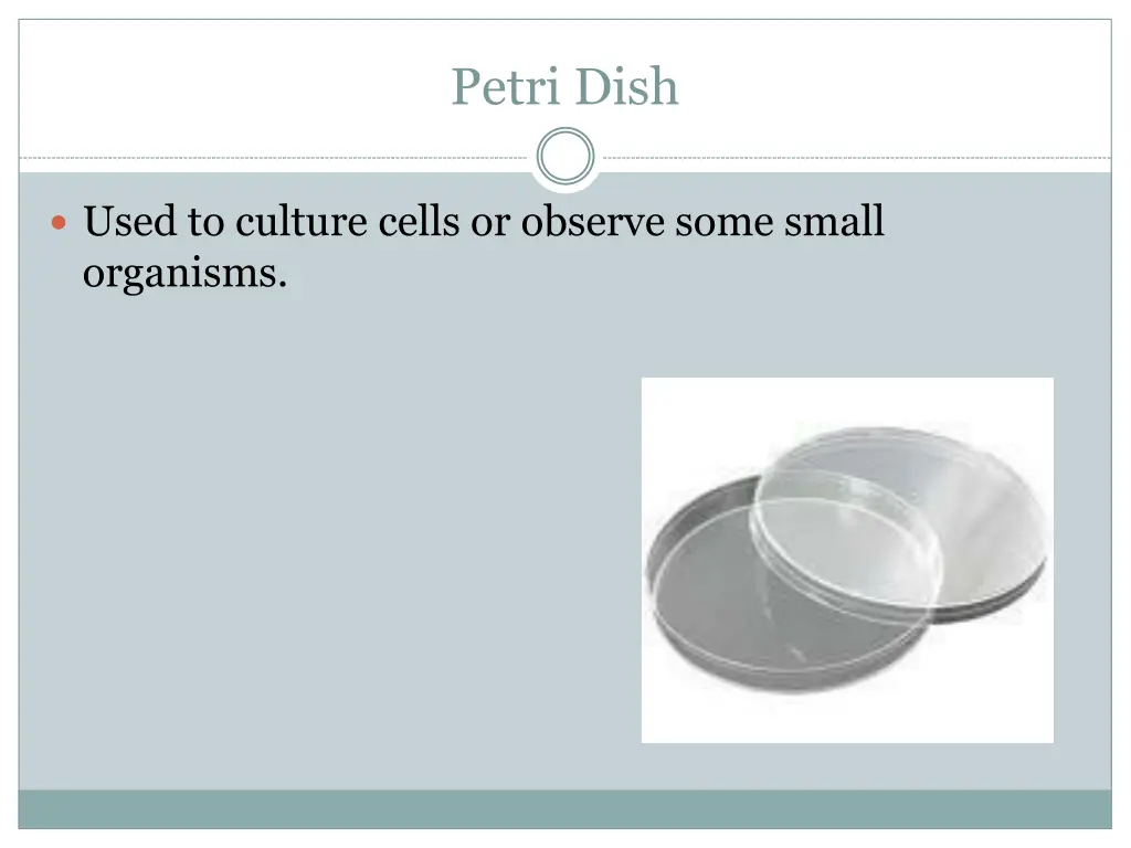 petri dish
