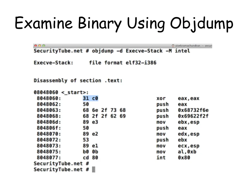 examine binary using objdump