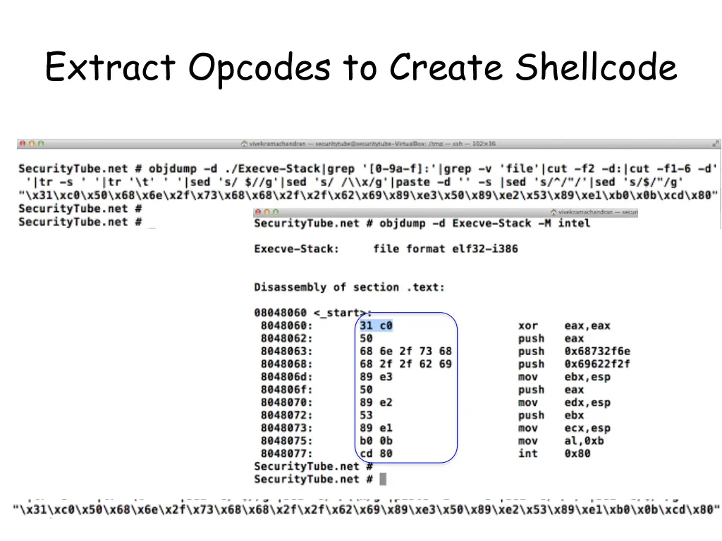 extract opcodes to create shellcode