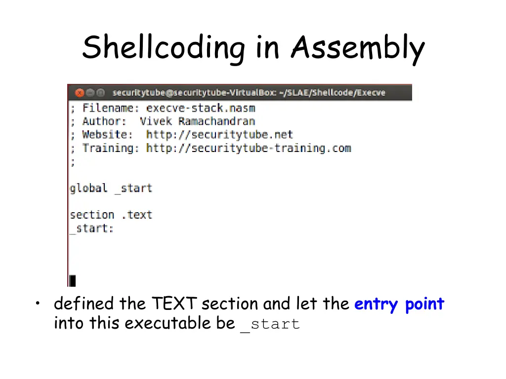 shellcoding in assembly