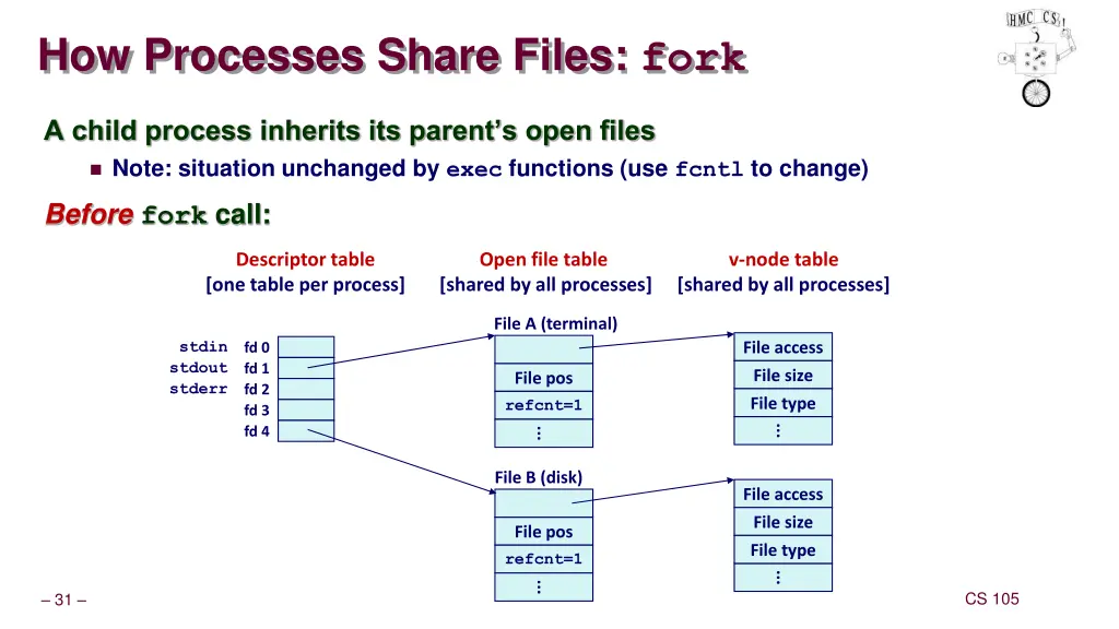how processes share files fork