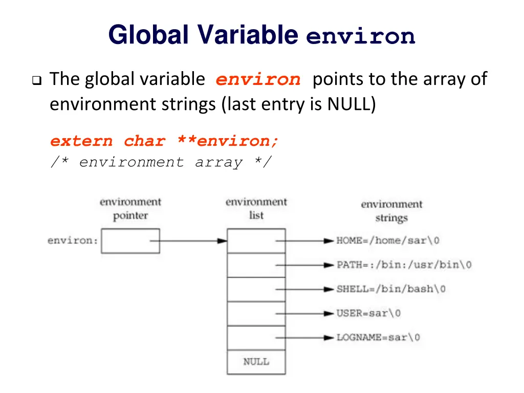 global variable environ