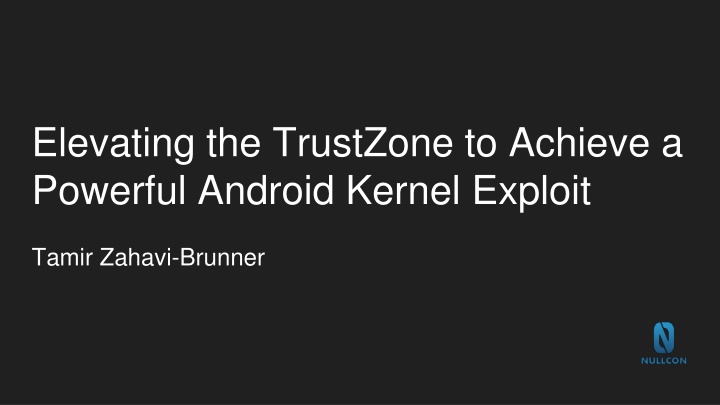 elevating the trustzone to achieve a powerful