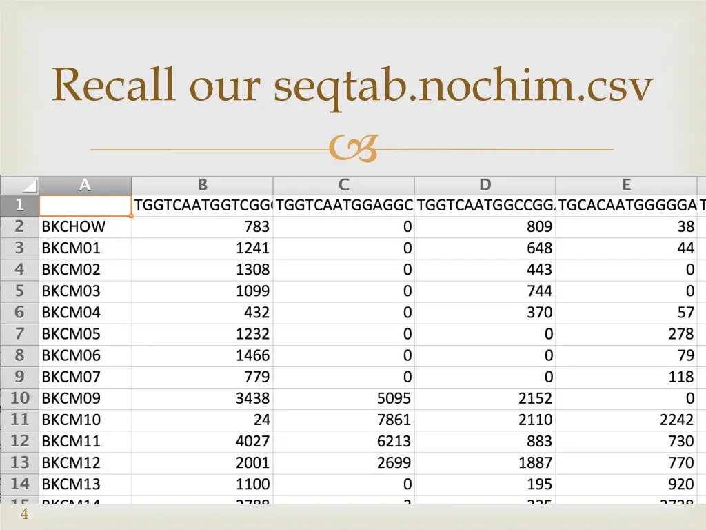 recall our seqtab nochim csv